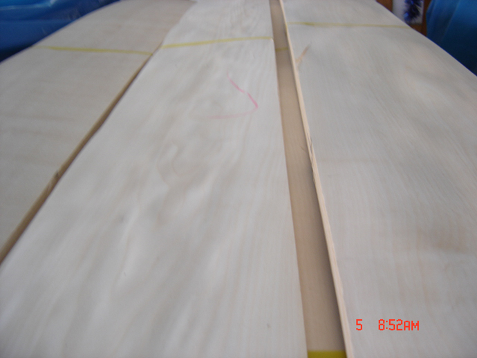 white birch--For more details, please click